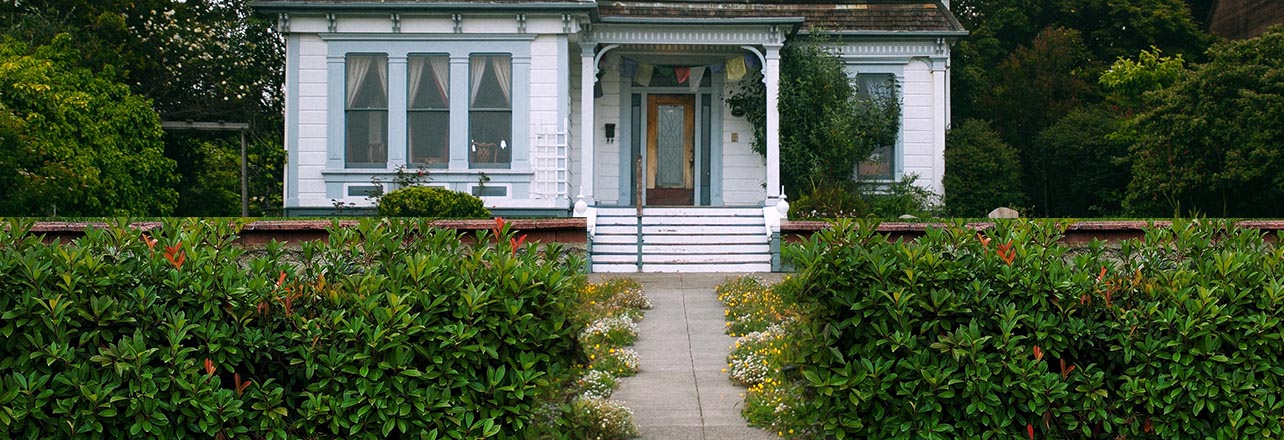 quelle plante choisir comme brise vue pour cacher la vue autour de son jardin ?