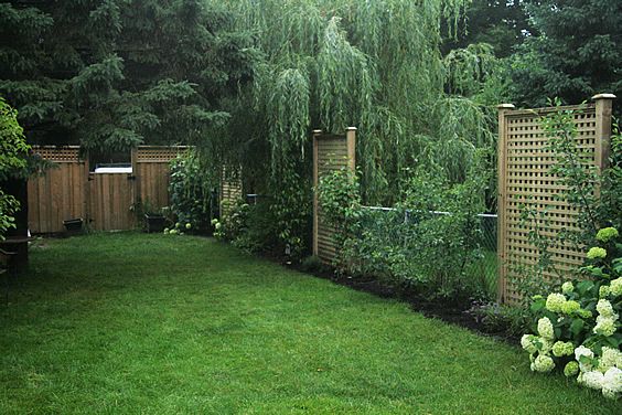 jardin luxuriant avec clôture