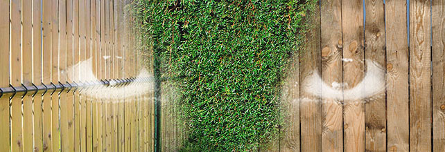tout savoir sur le brise vue